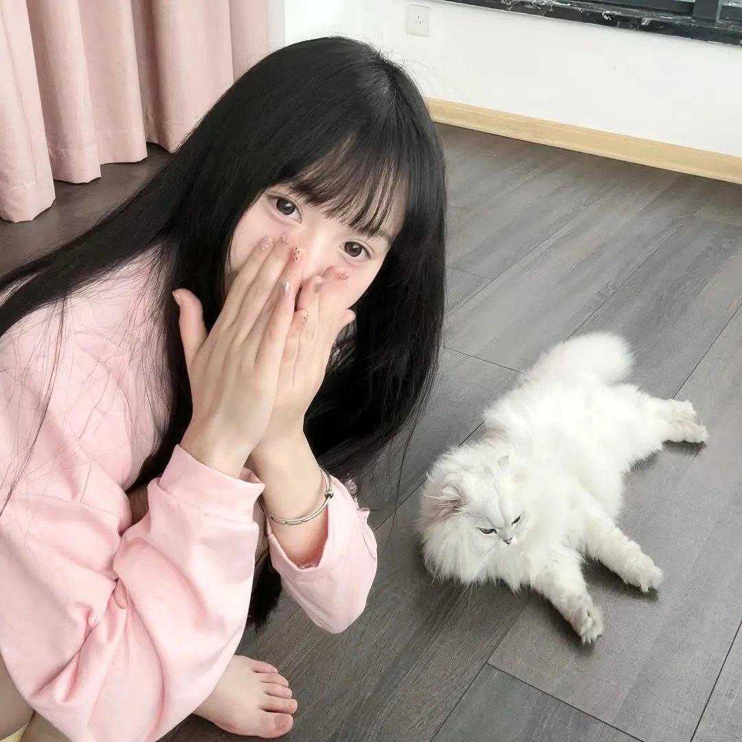 指环王：护戒使者